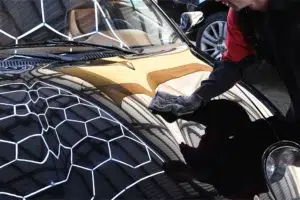 Aston Martin paint protection